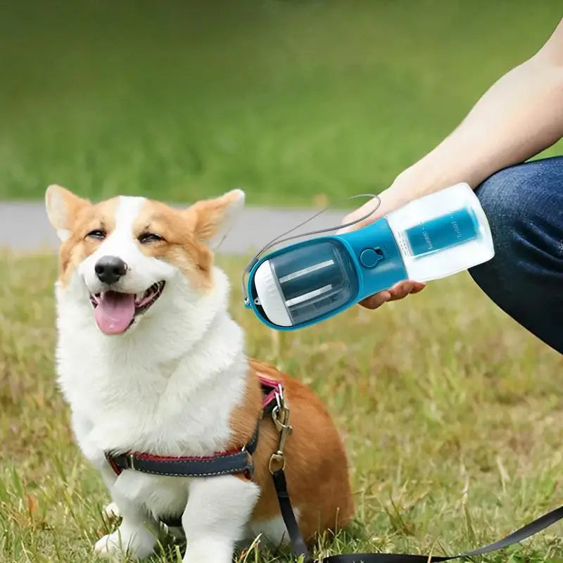 Pawsitive Plant All-in-One Adventure Bottle
